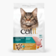 Catit Recipes Double Fusion Senior Chicken Dry Cat Food
