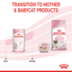 Royal Canin Babycat Milk
