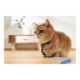 M-PETS Gentle Cat Harness and Leash Set