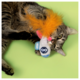 JOYSER Rocket Catnip Cat Toy