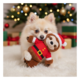 Winter Paws Christmas Santa Sloth Dog Plush Toy