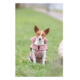 Trixie Lesmont Winter Dog Coat 