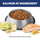 Hill's Science Diet Adult Sensitive Stomach & Skin Salmon Dry Dog Food