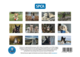 SPCA 2027 Charity Calendar