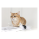 M-PETS Plume Ostrich Cat Toy