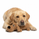 M-PETS Play Charly Dog Plush Toy