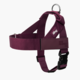 Dog Friendly Co. Premium Dog Harness 