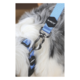 M-PETS Gentle Dog Collar