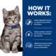 Hill's Prescription Diet i/d Digestive Care Kitten Dry Cat Food