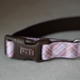 Pointer & Hound Signature Dog Collar