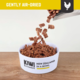 Kiwi Kitchens Chicken Air Dried Cat Food