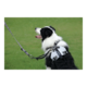 M-PETS Dog Lead Shock Absorber Extension