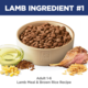 Hill's Science Diet Adult Lamb Meal & Brown Rice Recipe Dry Dog Food