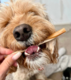 Mak's Patch Mixed Fruit Straws Dog Treats