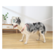 M-PETS Gentle Dog Triangle Dog Harness