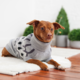 GF Pet Heritage Sweater 