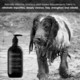 smithandburton Cat and Dog Detoxifying Protein Shampoo 