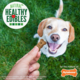 Nylabone Healthy Edibles Biscuits Chicken & Veggie Dog Treats