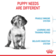 Royal Canin Medium Puppy Dry Dog Food