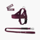Dog Friendly Co. Premium Dog Signature Kit