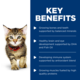 Hill's Science Diet Kitten Wet Cat Food Variety Pack