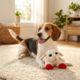 Multipet Lamb Chop Dog Toy