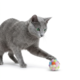 M-PETS Wonders Bubble Ball Cat Toy
