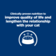 Hill's Prescription Diet k/d j/d Kidney + Mobility Dry Cat Food
