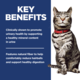 Hill's Science Diet Adult Urinary Hairball Control Chicken Dry Cat Food
