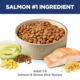 Hill's Science Diet Adult Salmon & Brown Rice Recipe Dry Dog Food