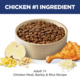 Hill's Science Diet Adult 7+ Senior Dry Dog Food