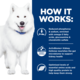Hill's Prescription Diet k/d j/d Kidney + Mobility Dry Dog Food
