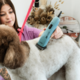Wahl KM Inspire Professional Corded Cat and Dog Clipper
