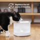 Cheerble Pet Fountain Replacement Kit