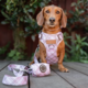 Pointer & Hound Signature Dog Poop Bag Holder