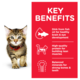Hill's Science Diet Kitten Chicken Wet Cat Food