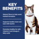Hill's Science Diet Adult Hairball Control Chicken Dry Cat Food