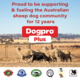 Dogpro Plus Adult Beef Dry Dog Food