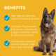 PAW Complete Calm Dog Calming Chews