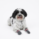 Trixie Non Slip Dog Socks 