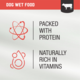 Kiwi Kitchens Beef Wet Dog Food