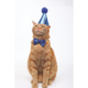 M-PETS Party Time Gentleman Birthday Party Pack For Cats
