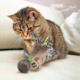 JOYSER Catnip Wobble Ball Cat Toy