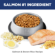 Hill's Science Diet Adult Sensitive Stomach & Skin Salmon Cat Food