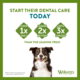 Whimzees Variety Dental Pack Dog Treats