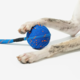 Cheerble Wicked Ball Air Rope Smart Dog Toy