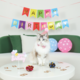 M-PETS Party Time Lady Birthday Party Pack For Cats