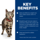 Hill's Science Diet Adult Perfect Weight Chicken in Gravy Wet Cat Food