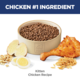 Hill's Science Diet Kitten Chicken Dry Cat Food