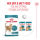 Royal Canin Ageing 11+ Dry Cat Food